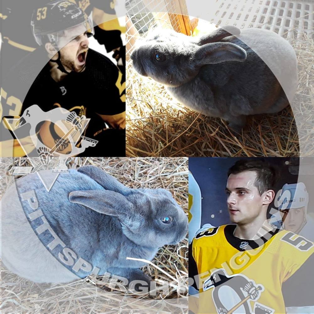 Meet your Posher, Greg